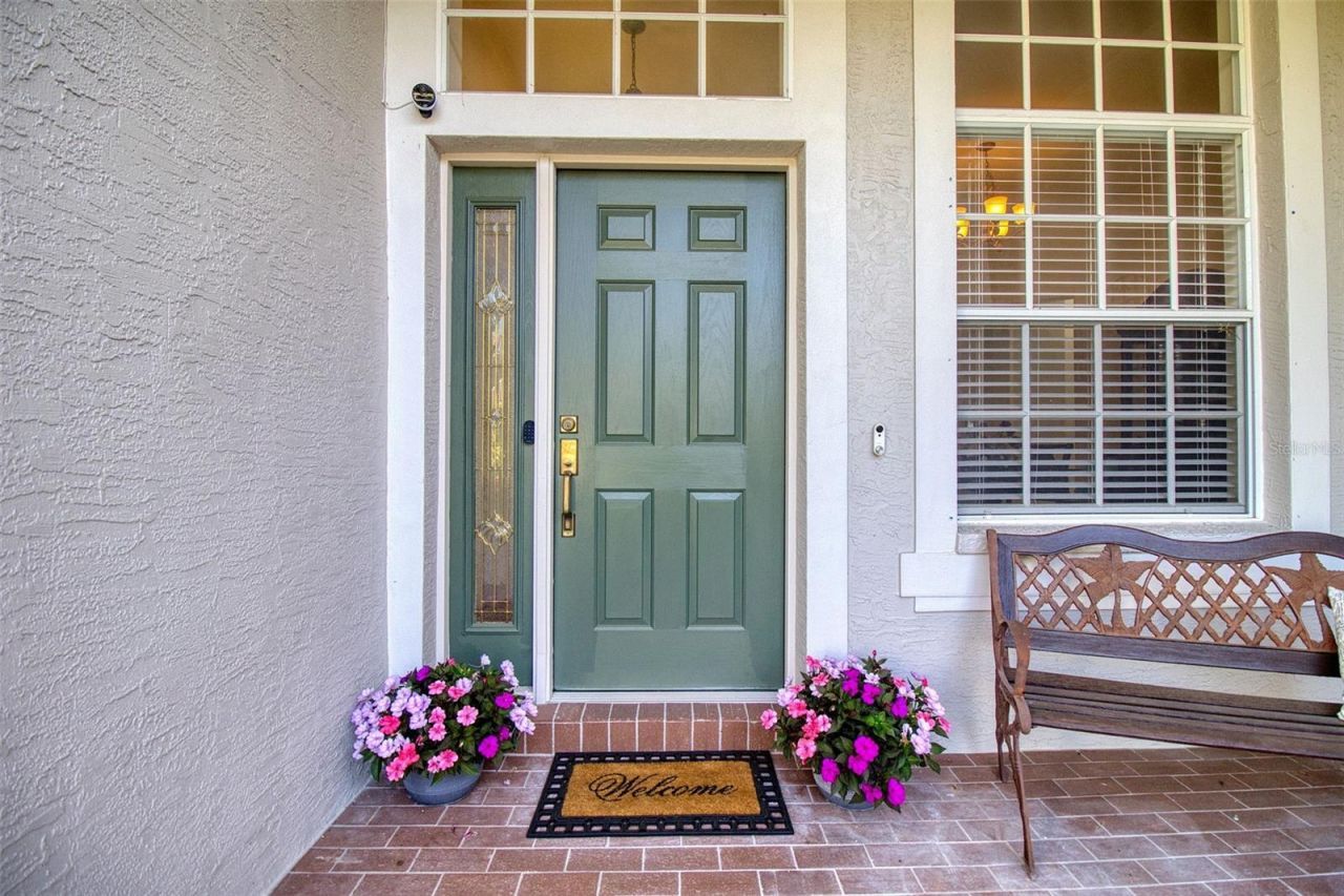 2206 Highland Woods Drive, Dunedin, FL 34698 Photo