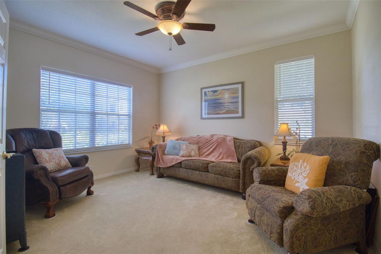 2206 Highland Woods Drive, Dunedin, FL 34698 Photo