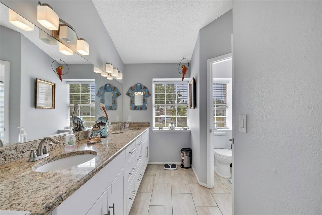 7451 Swan Lake Drive, New Port Richey, FL 34655 Photo