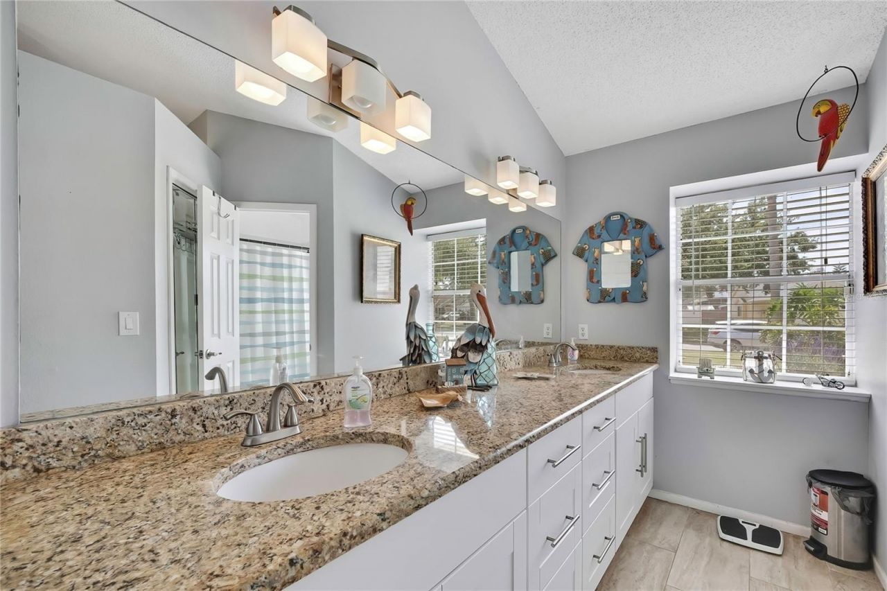 7451 Swan Lake Drive, New Port Richey, FL 34655 Photo