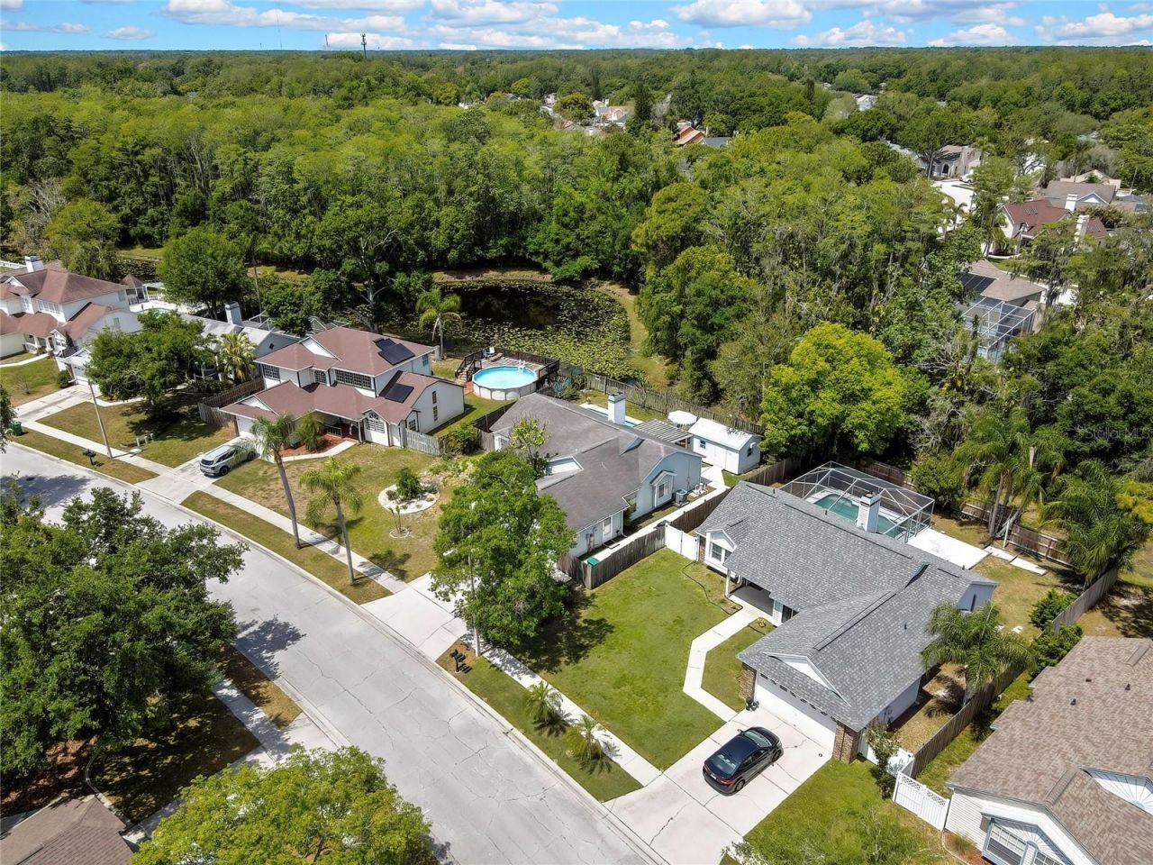 7451 Swan Lake Drive, New Port Richey, FL 34655 Photo