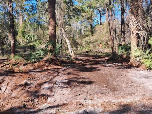 120 GARDENIA AVENUE , GEORGETOWN, FL 32139