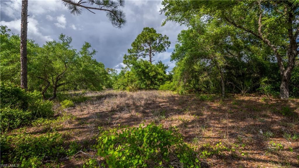 7906 23rd Pl, Labelle, FL 33935 Photo