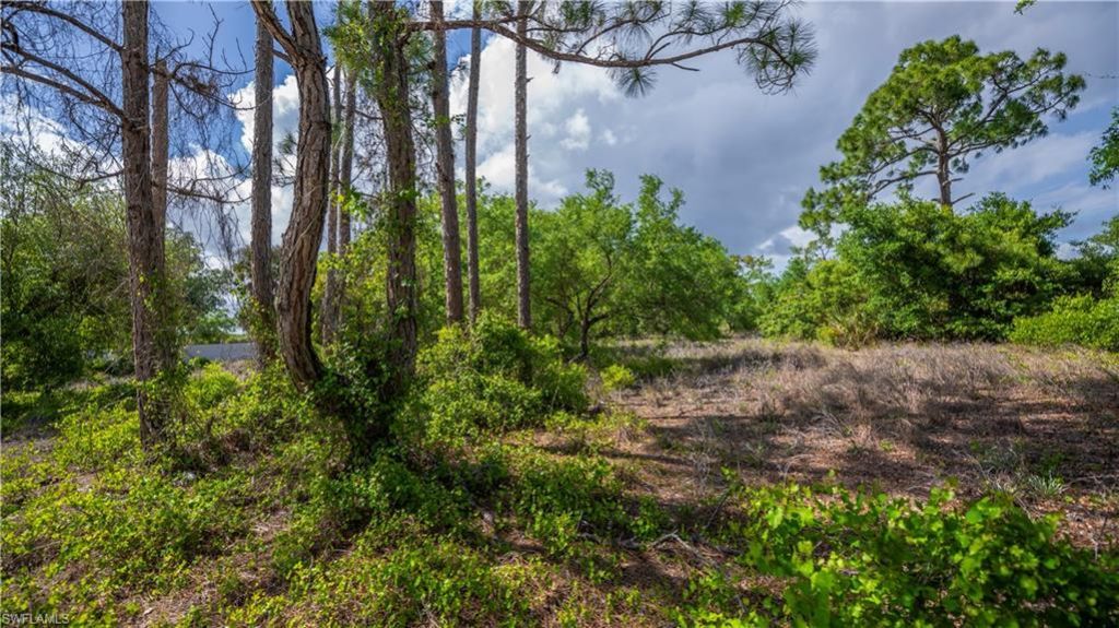 7906 23rd Pl, Labelle, FL 33935 Photo