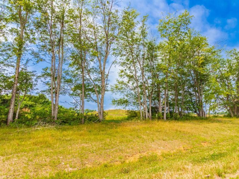 LOT 55 Dorsey Road, Winchester, OH 45697 Photo 15