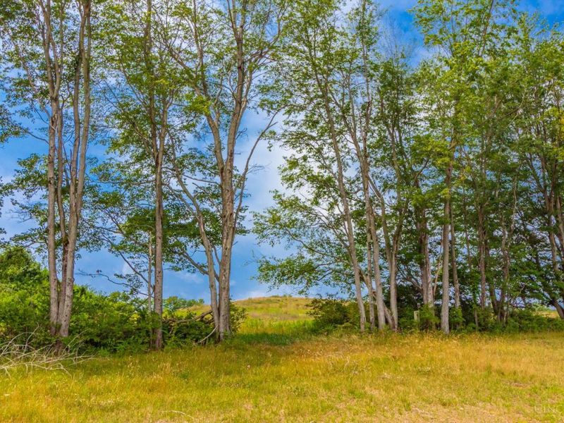 LOT 55 Dorsey Road, Winchester, OH 45697 Photo 16