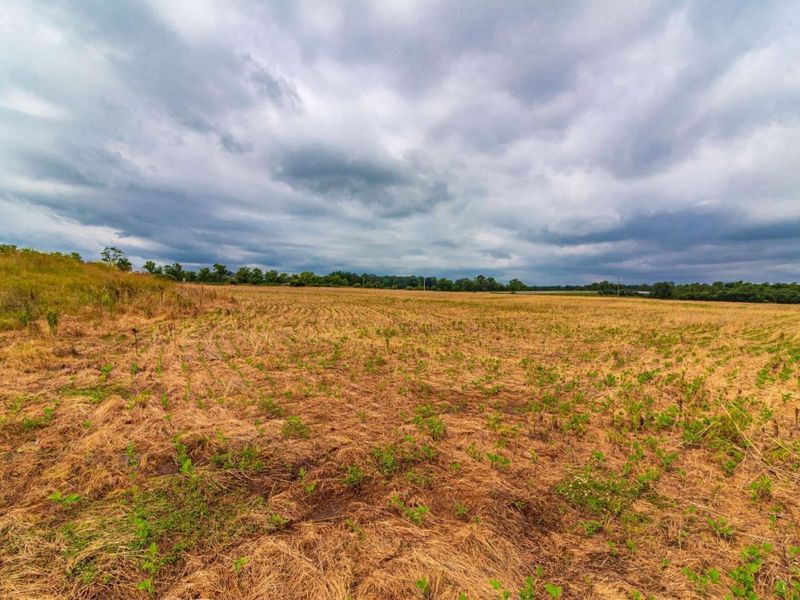 LOT 55 Dorsey Road, Winchester, OH 45697 Photo 4