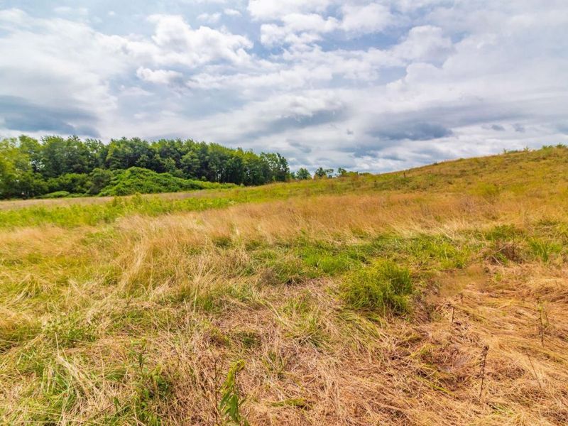 LOT 55 Dorsey Road, Winchester, OH 45697 Photo 6