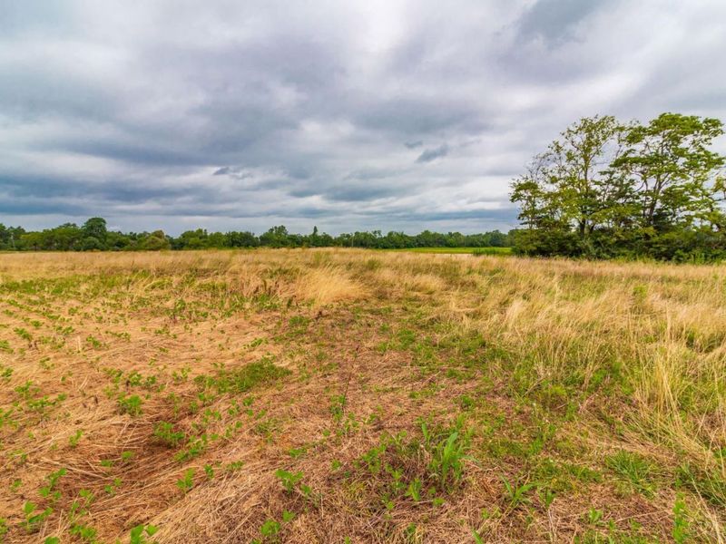 LOT 55 Dorsey Road, Winchester, OH 45697 Photo 7