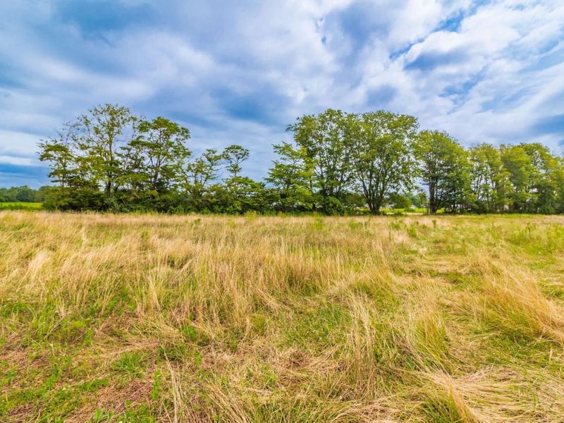 LOT 55 Dorsey Road, Winchester, OH 45697 Photo 8