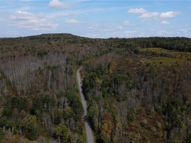 Lot 11 Sisson Hill Road , Unadilla, NY 13849