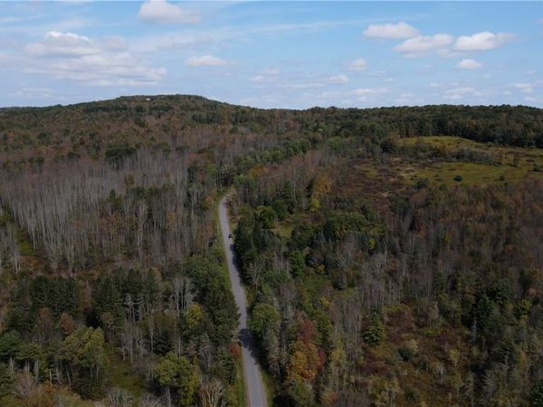 Lot 11 Sisson Hill Road, Unadilla, NY 13849