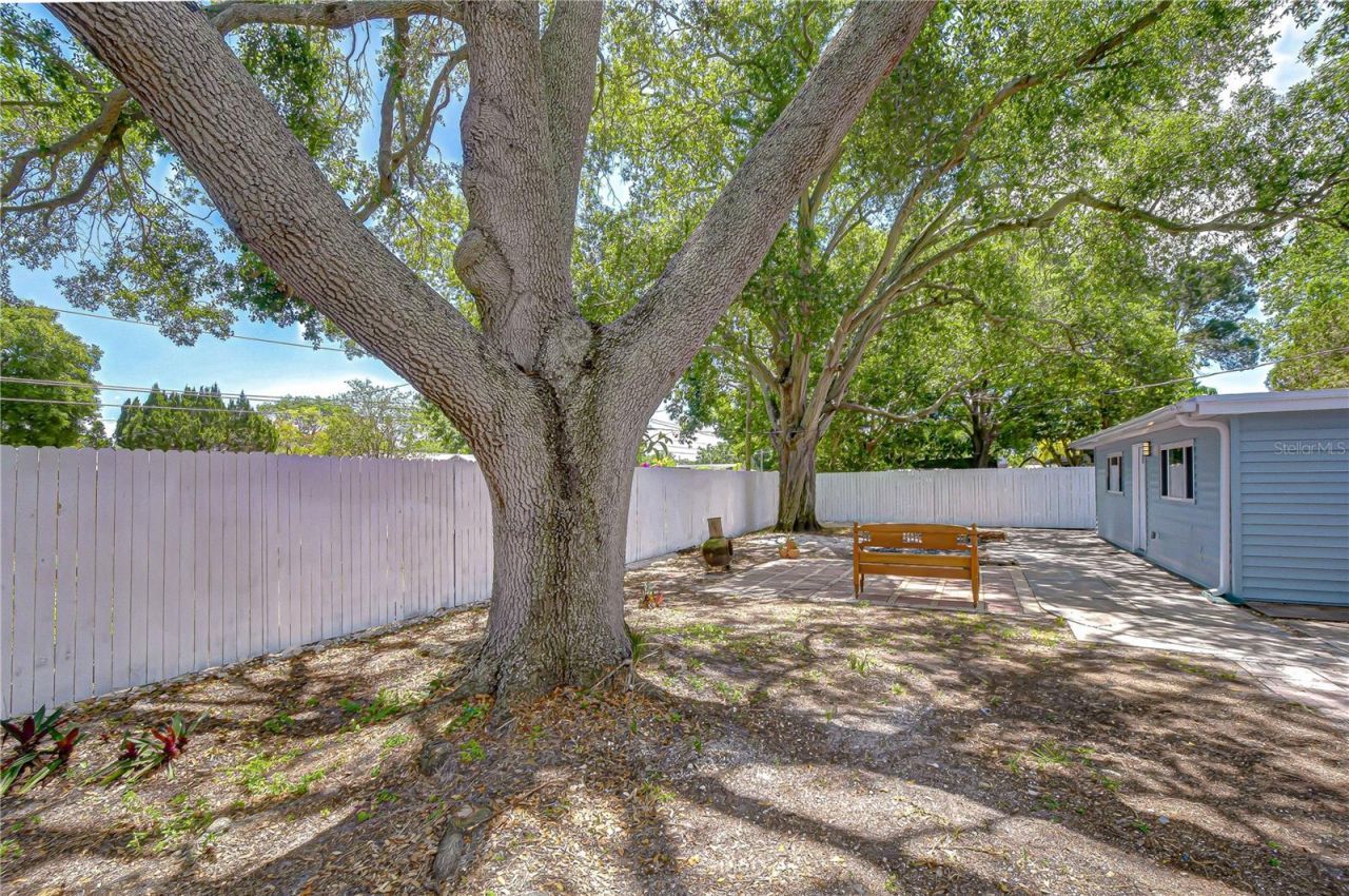 7235 15th Street N, Saint Petersburg, FL 33702 Photo