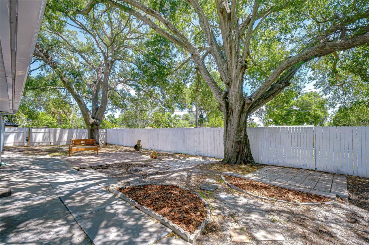 7235 15th Street N, Saint Petersburg, FL 33702 Photo