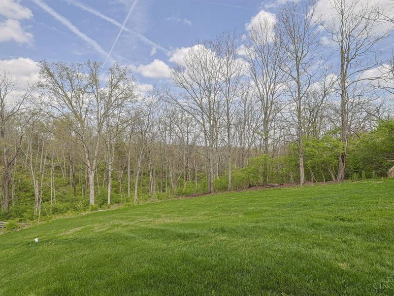 10866 Carolina Trace Road, Harrison, OH 45030 Photo 40