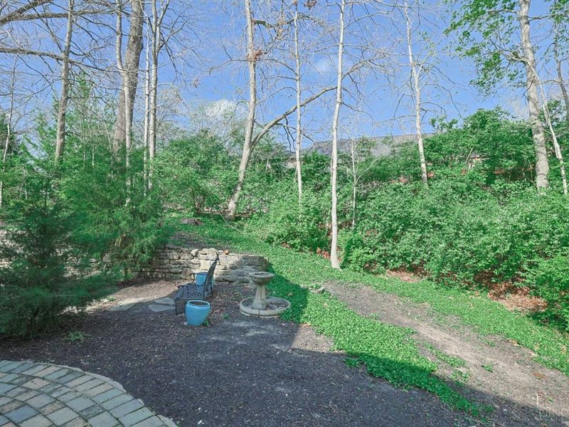 10564 Stablehand Drive, Symmes Township, OH 45242 Photo 55