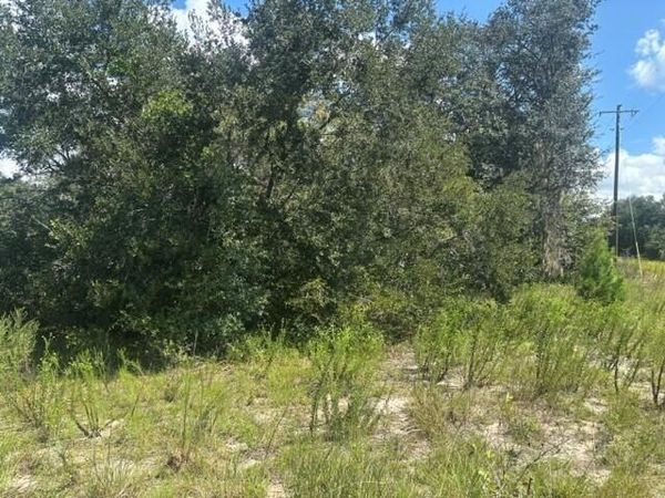 0 Shirley Street, Interlachen, FL 32148