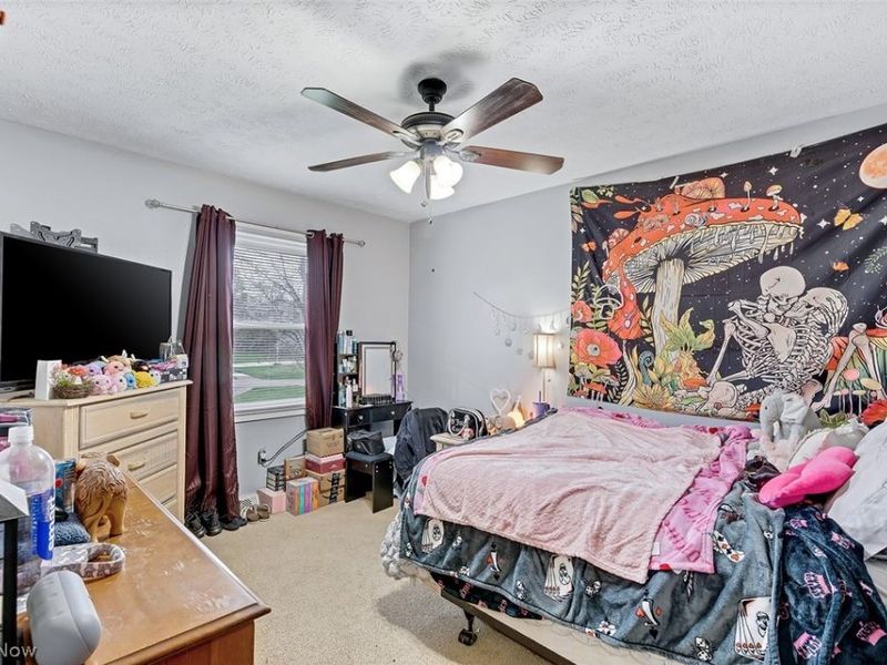 506 Garden Valley Court, Youngstown, OH 44512 Photo 22