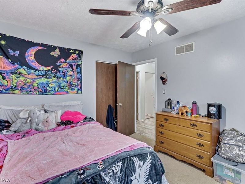 506 Garden Valley Court, Youngstown, OH 44512 Photo 23