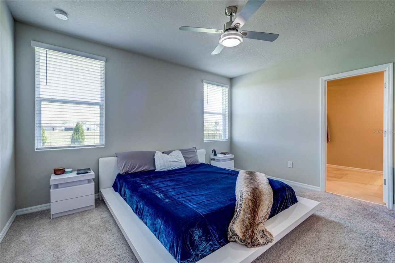 10210 Daybreak Glen, Parrish, FL 34219 Photo