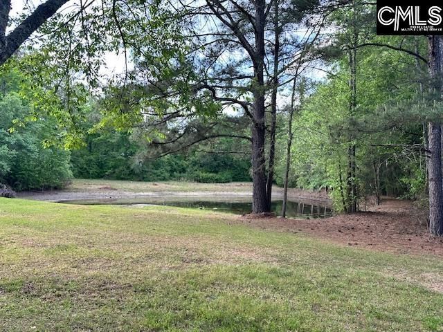 1426 W. Creek Road Photo 11