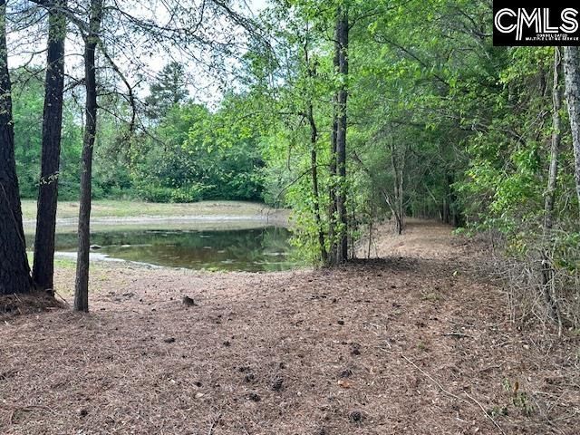 1426 W. Creek Road Photo 12