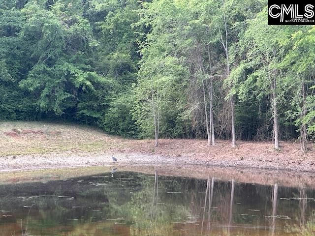 1426 W. Creek Road Photo 9