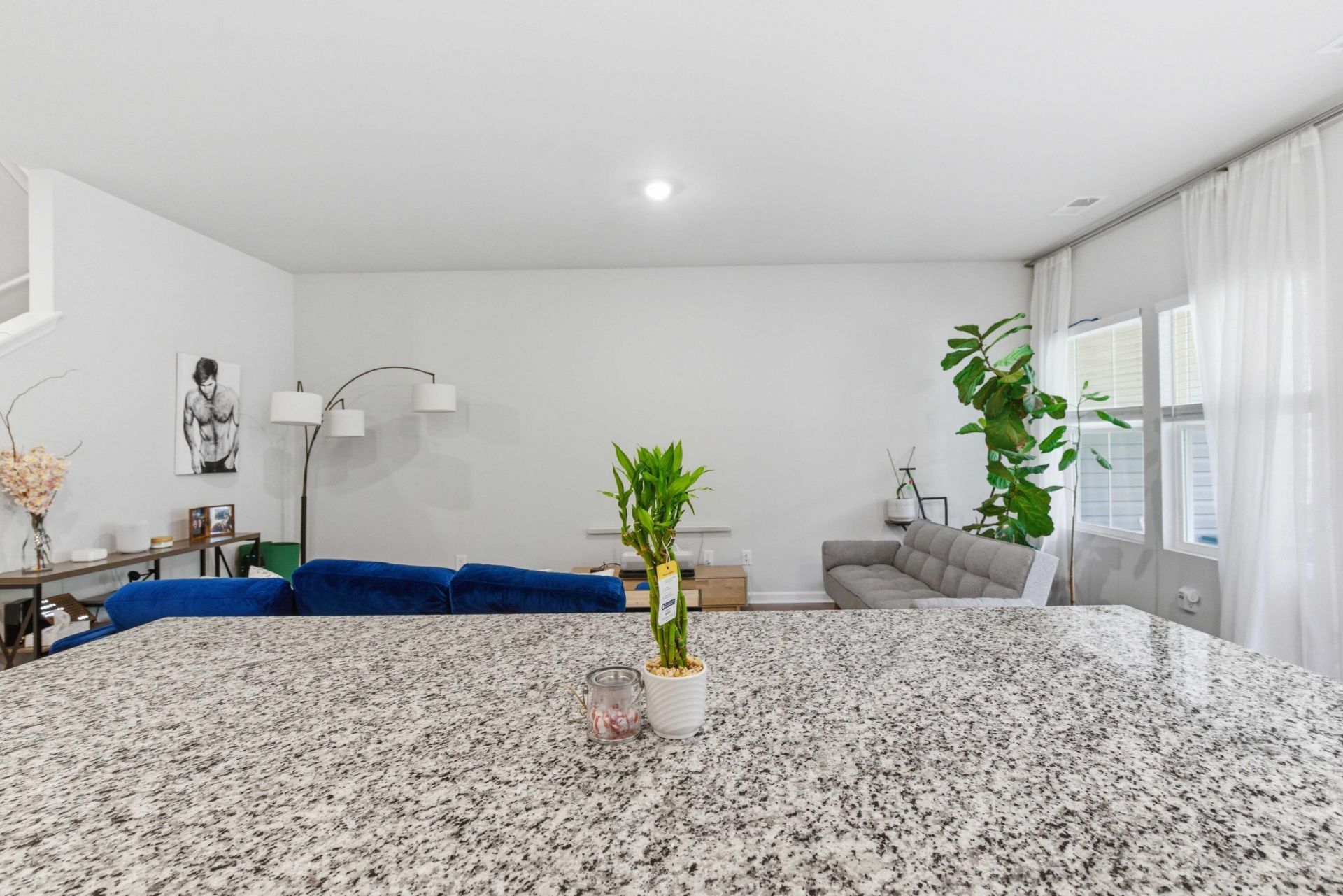 8052 Reagan Way Photo 18