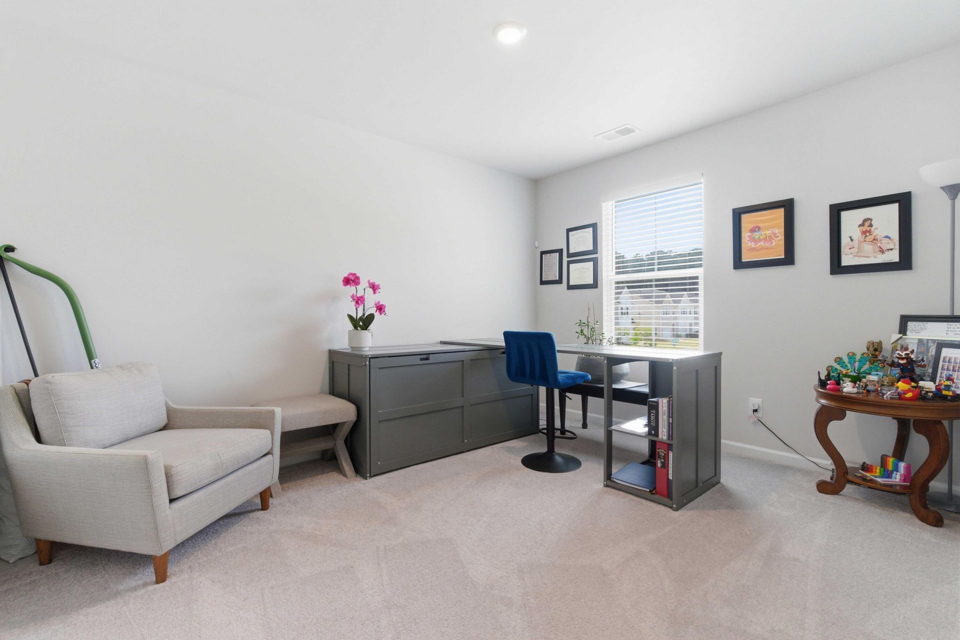 8052 Reagan Way Photo 39