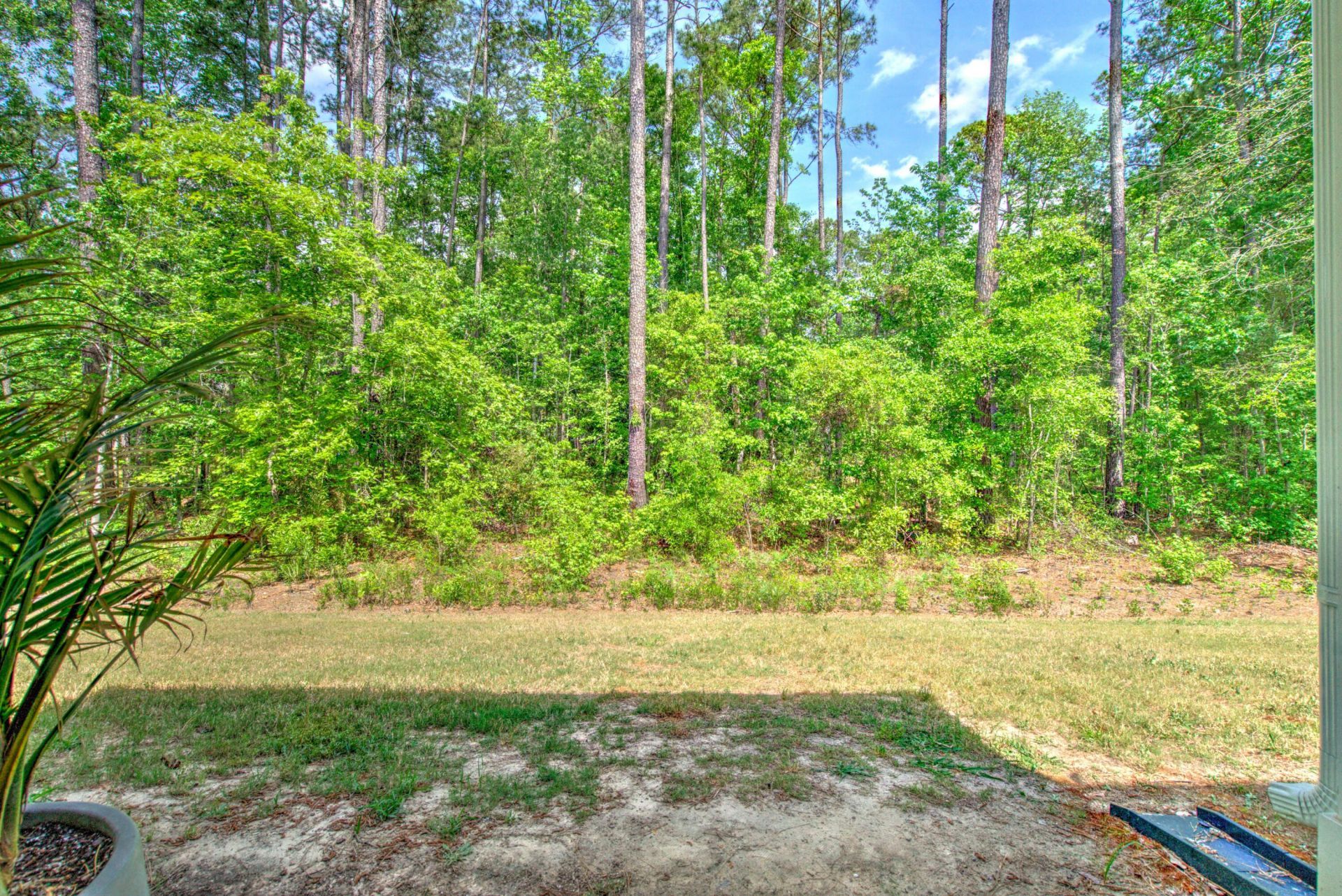 8052 Reagan Way Photo 48