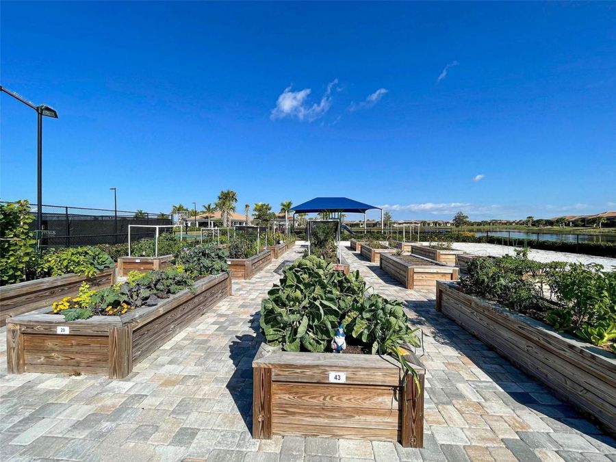 Property Image 65