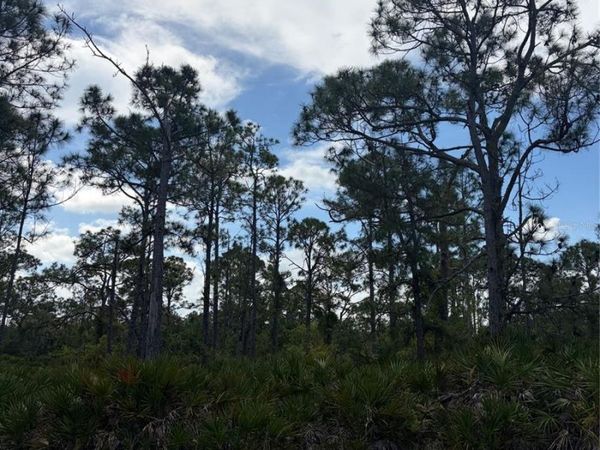 28078 RAMIRO DRIVE , PUNTA GORDA, FL 33955