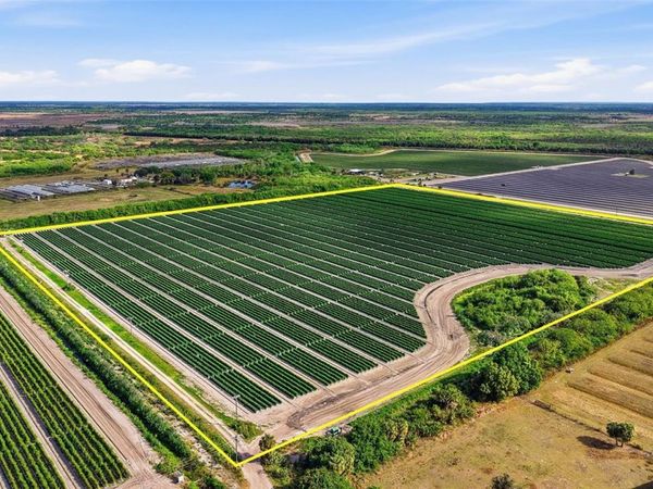 6150 PRINGLE LANE , IMMOKALEE, FL 34142