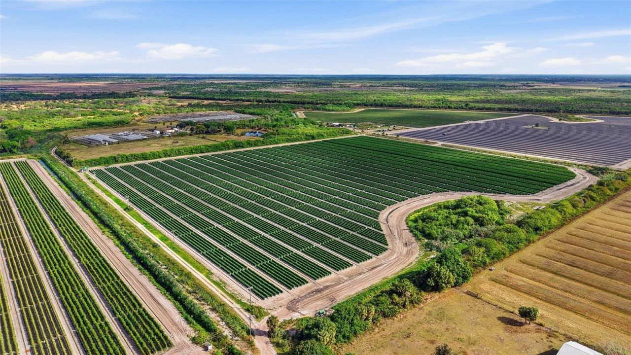 6150 Pringle Lane , Immokalee, FL 34142 Photo