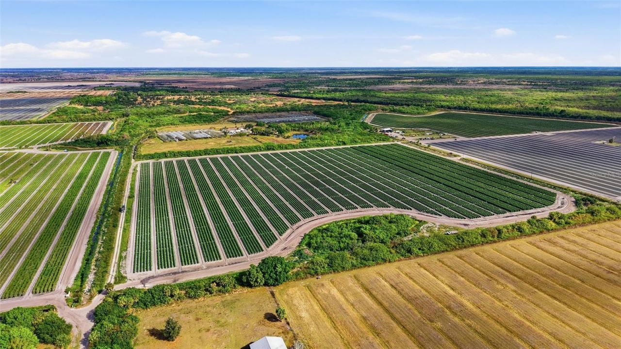 6150 Pringle Lane , Immokalee, FL 34142 Photo