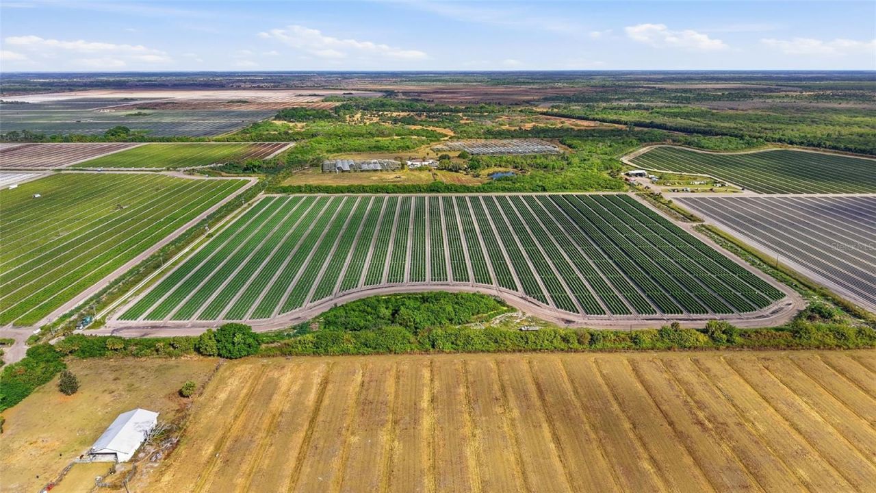 6150 Pringle Lane , Immokalee, FL 34142 Photo