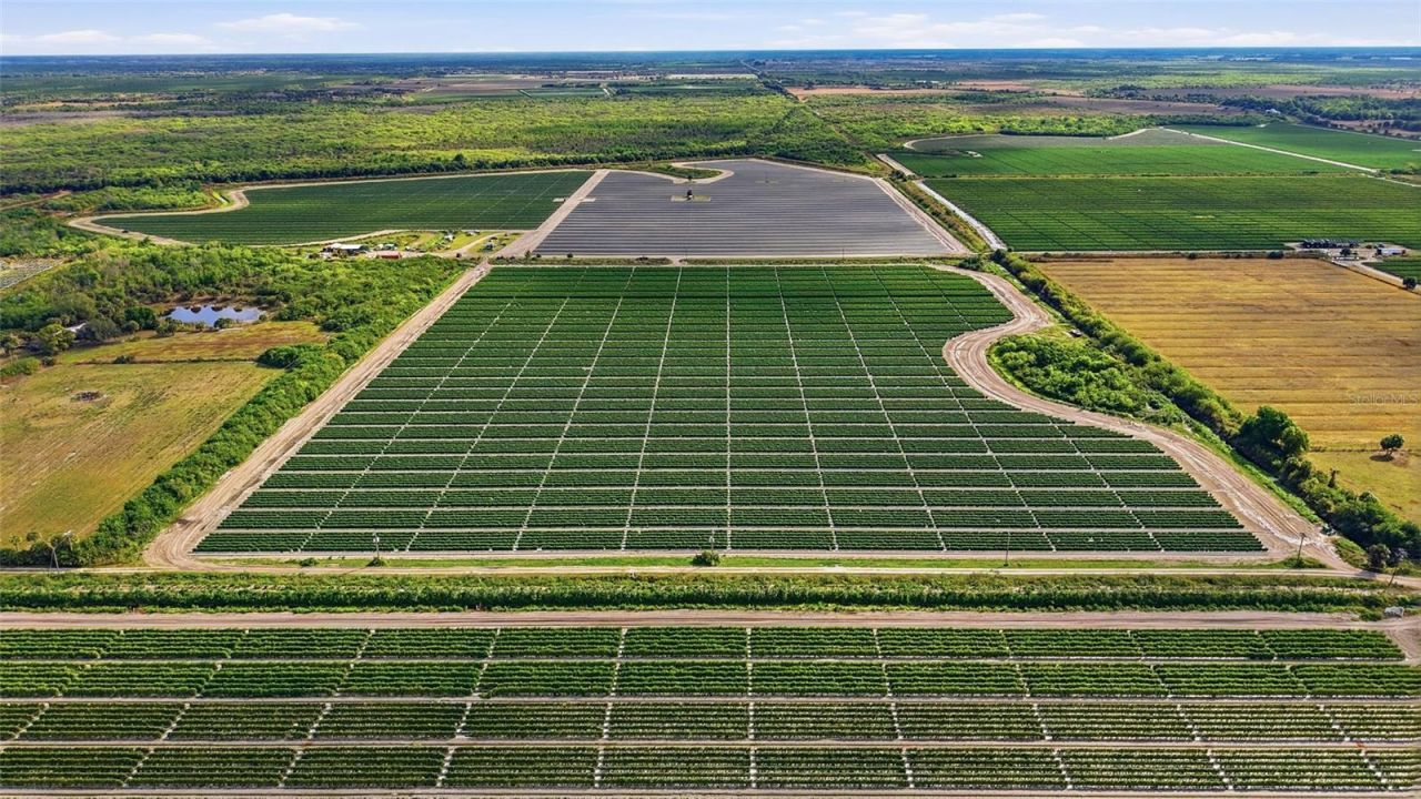 6150 Pringle Lane , Immokalee, FL 34142 Photo