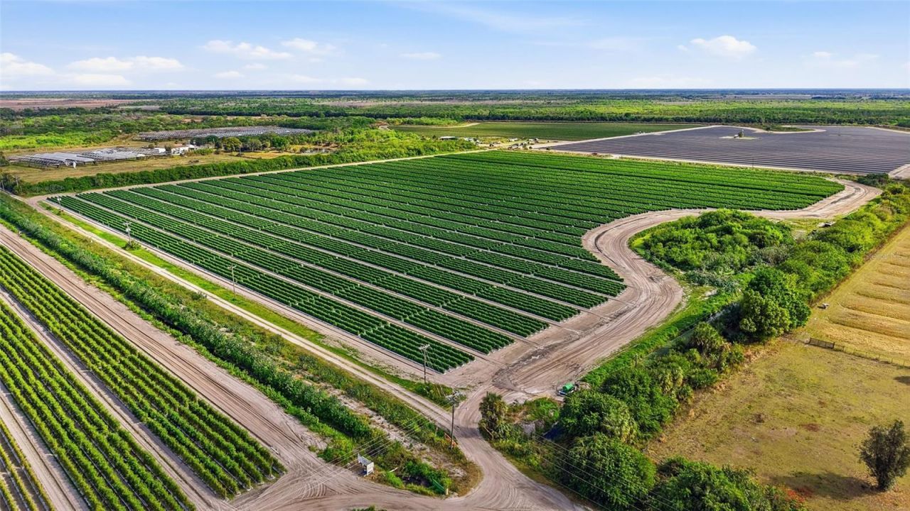 6150 Pringle Lane , Immokalee, FL 34142 Photo