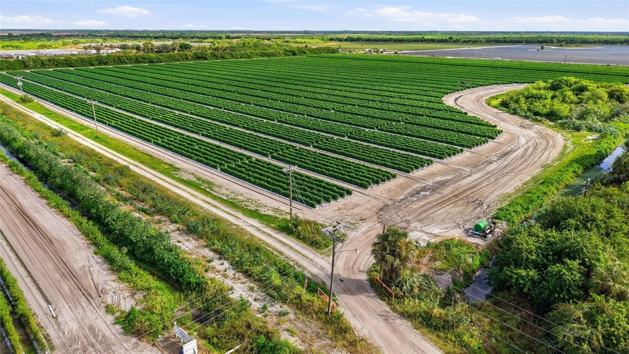 6150 Pringle Lane, Immokalee, FL 34142 Photo