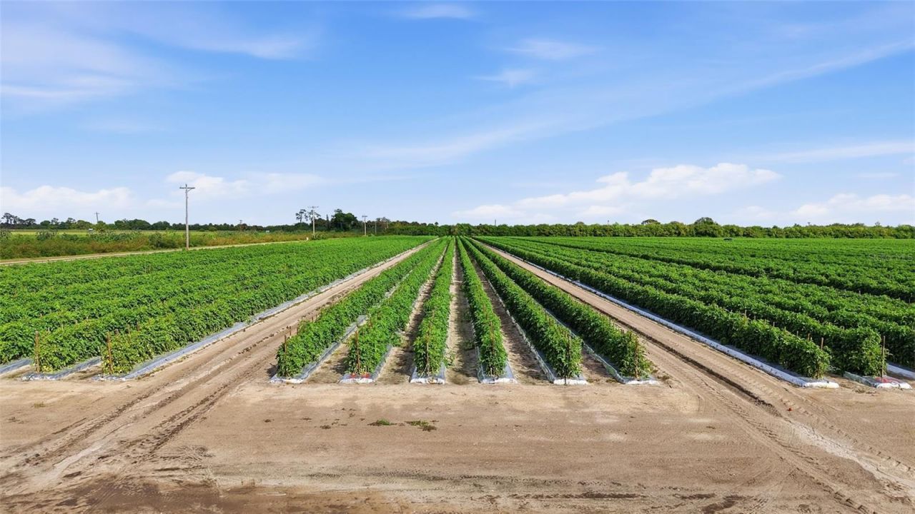 6150 Pringle Lane , Immokalee, FL 34142 Photo