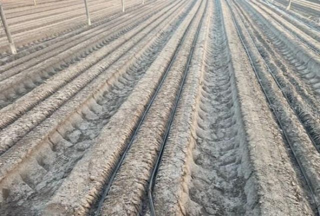 6150 Pringle Lane , Immokalee, FL 34142 Photo