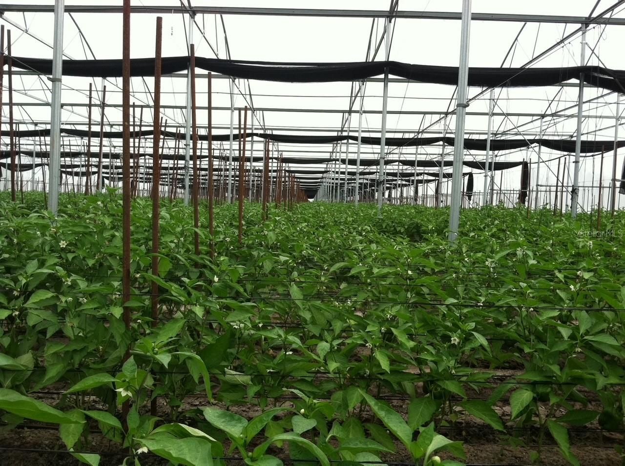 6150 Pringle Lane , Immokalee, FL 34142 Photo