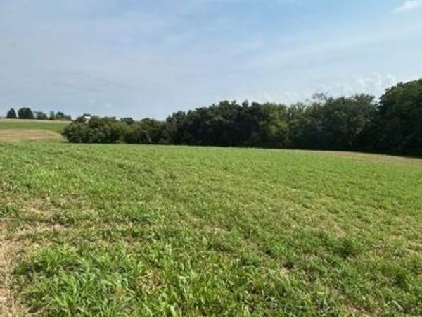 4240 Oak Road, Ridgeway, WI 53582