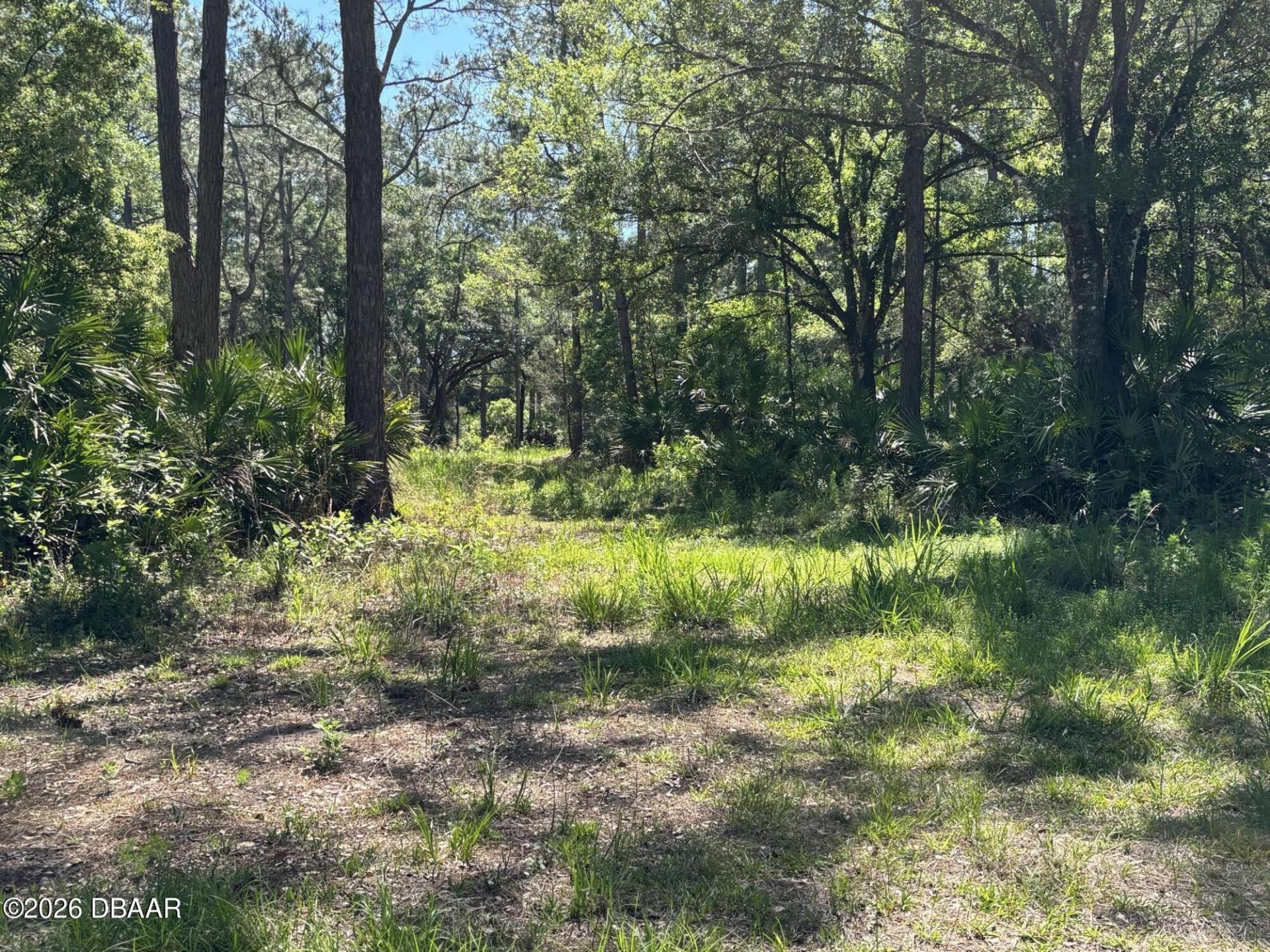 00 County Rd 90 E, Bunnell, FL 32110 Photo