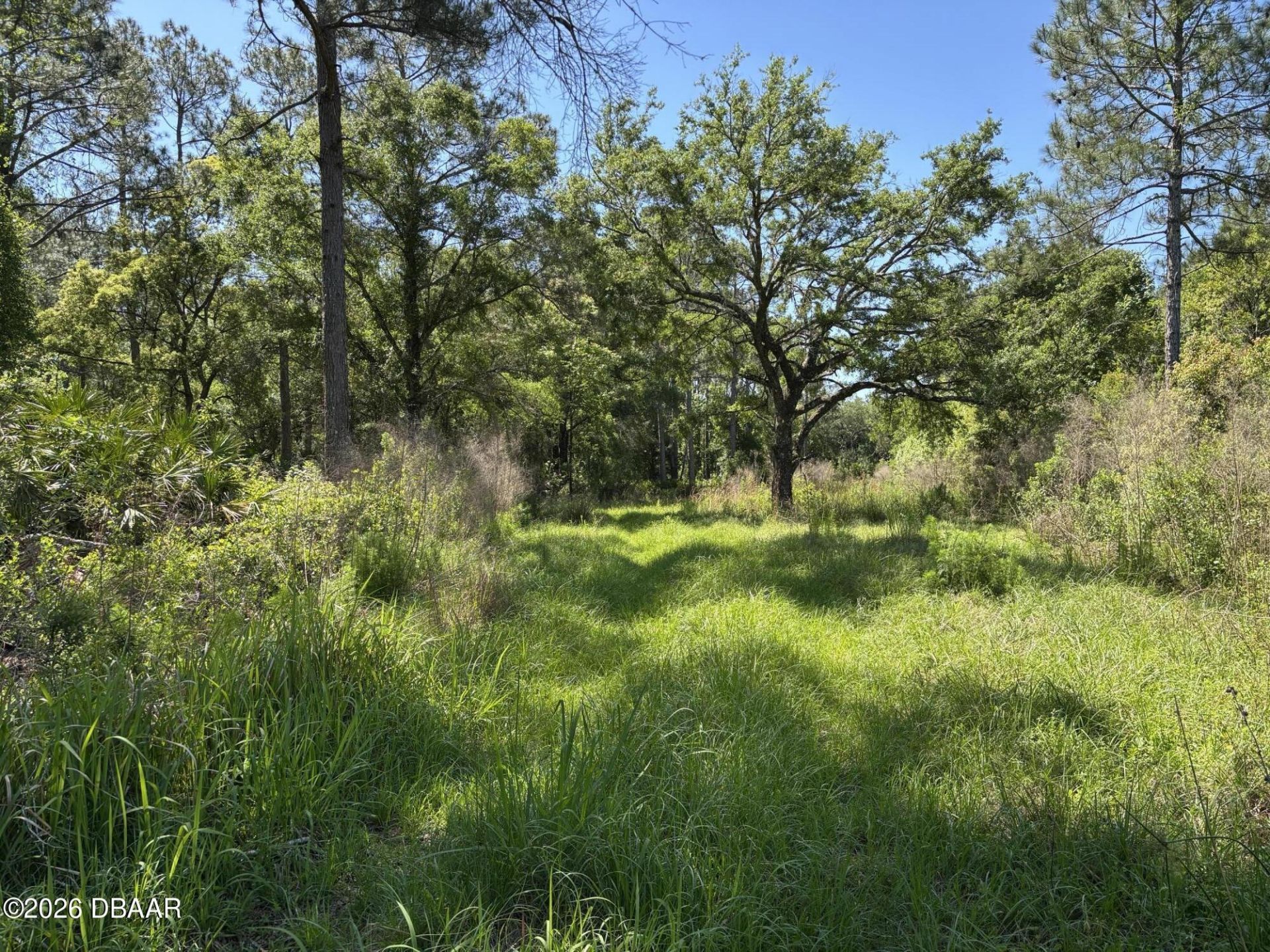 00 County Rd 90 E, Bunnell, FL 32110 Photo