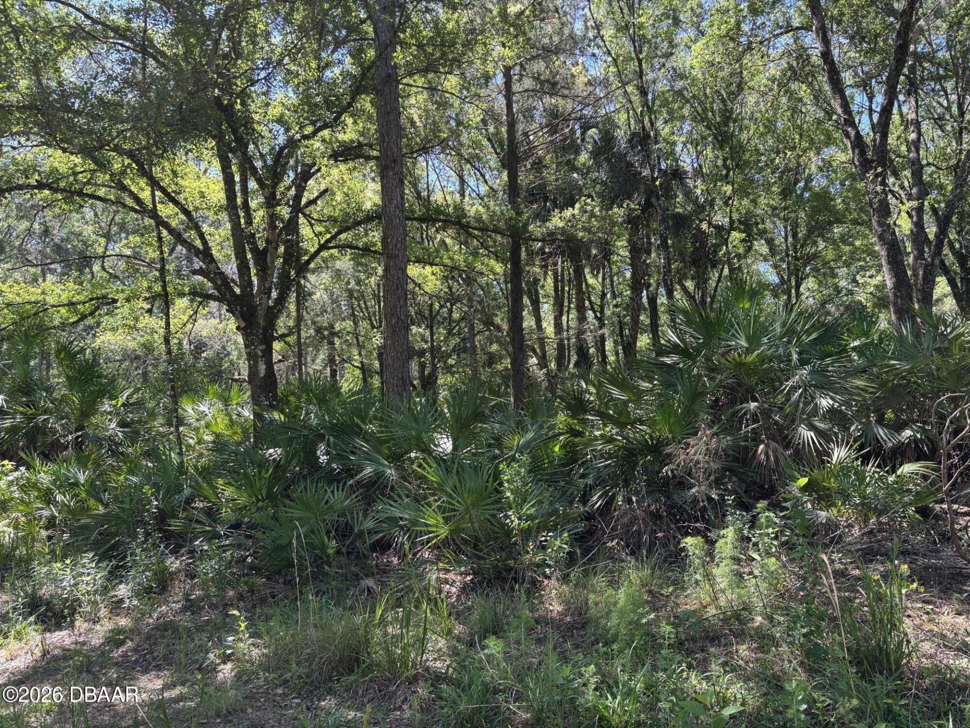 00 County Rd 90 E, Bunnell, FL 32110 Photo