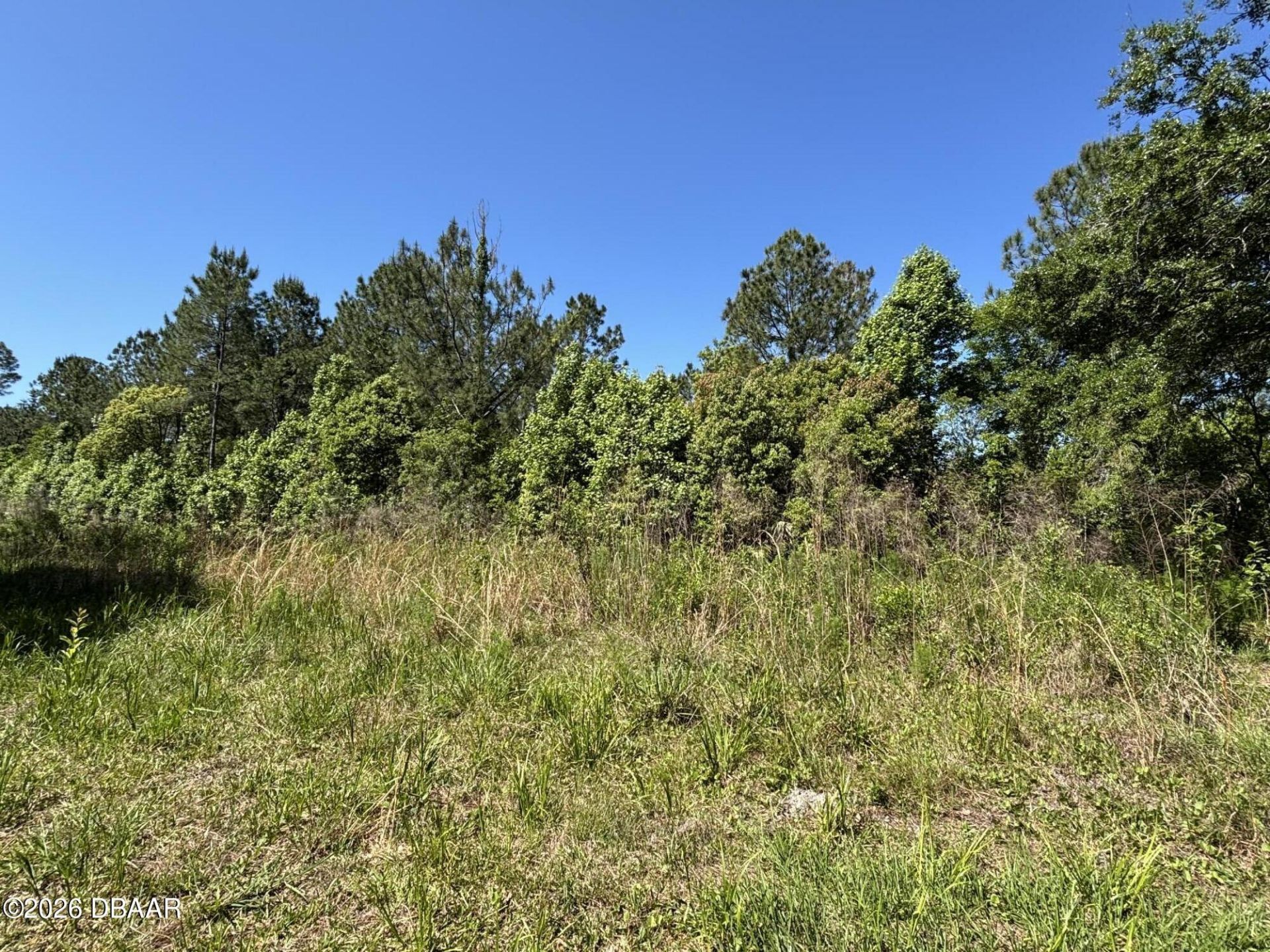 00 County Rd 90 E, Bunnell, FL 32110 Photo