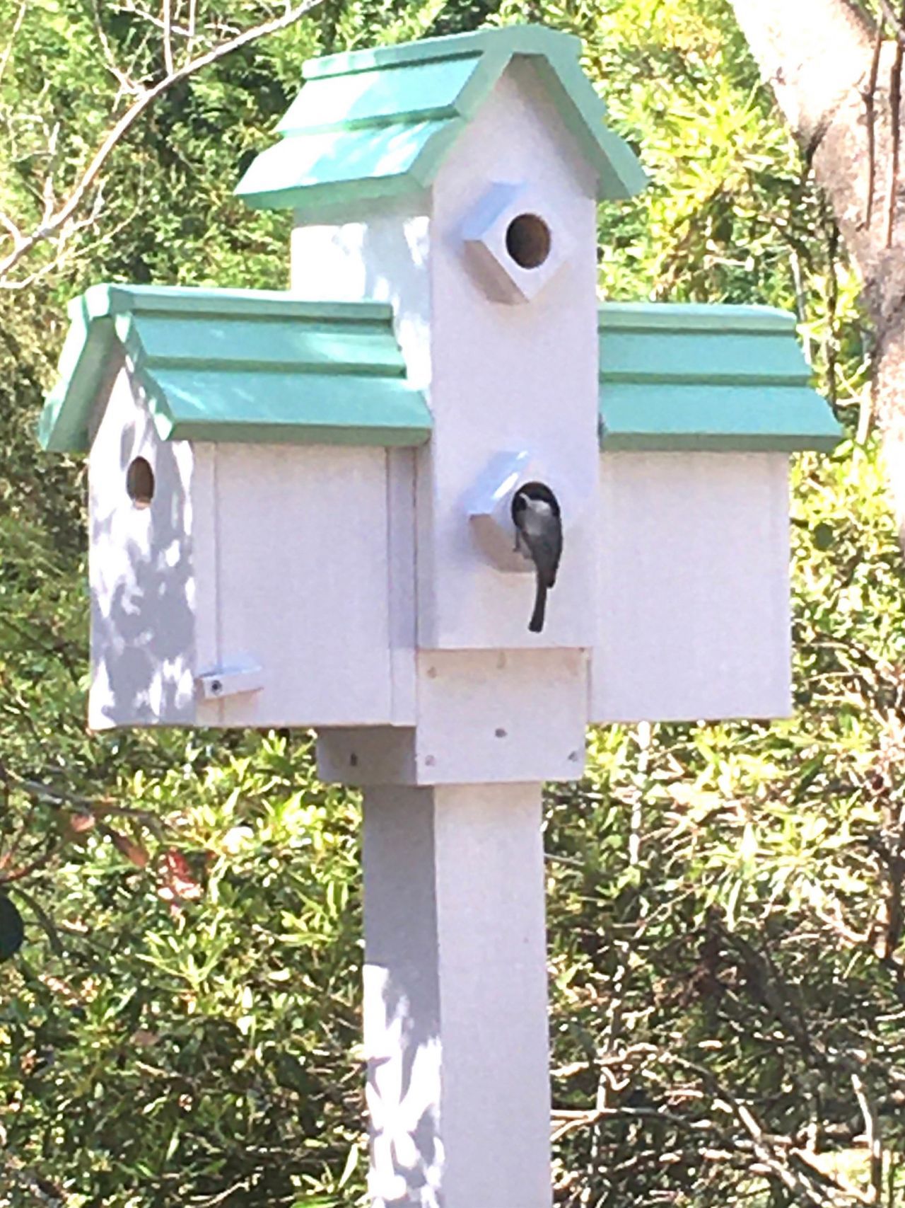 1215 Loblolly Ln. Photo 42