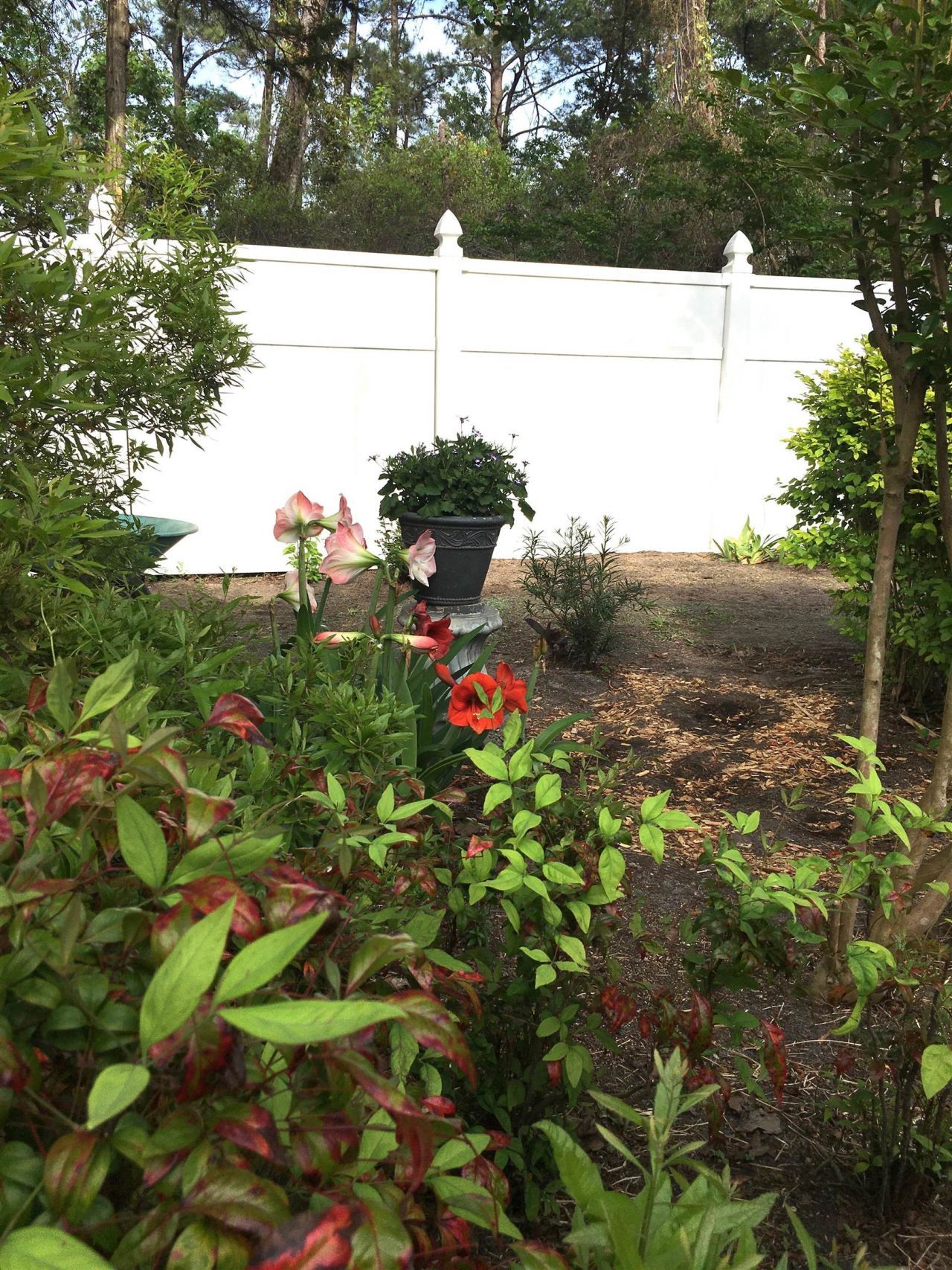 1215 Loblolly Ln. Photo 45