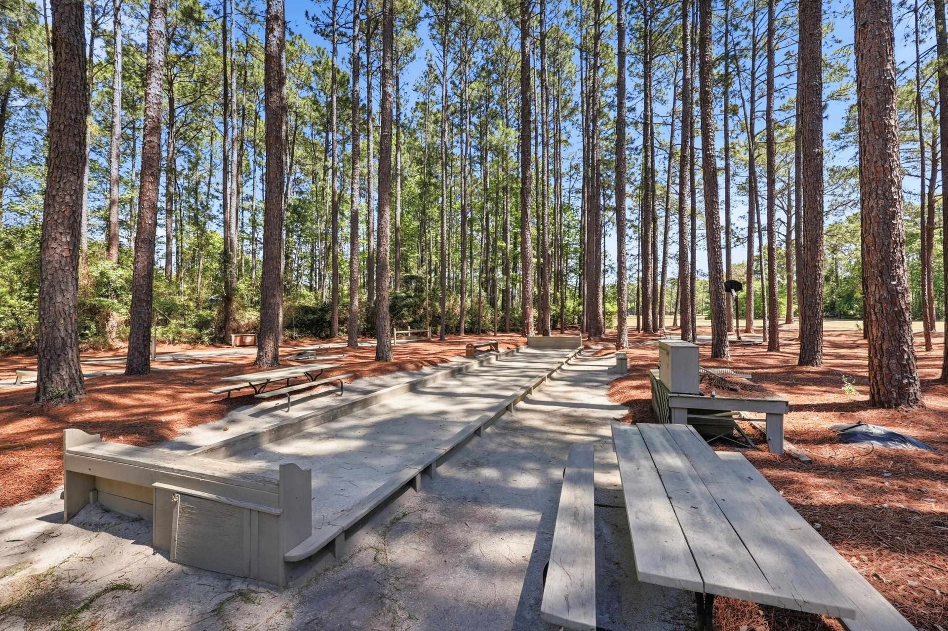 1215 Loblolly Ln. Photo 61